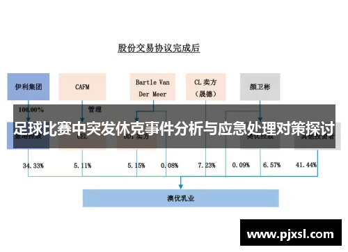 足球比赛中突发休克事件分析与应急处理对策探讨