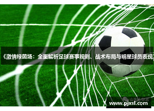 《激情绿茵场：全面解析足球赛事规则、战术布局与明星球员表现》