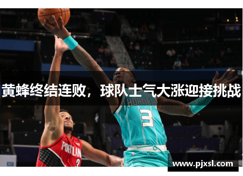 黄蜂终结连败，球队士气大涨迎接挑战