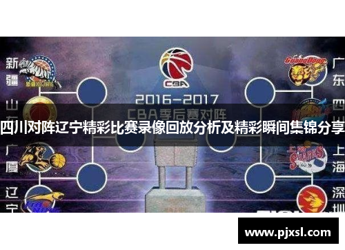 四川对阵辽宁精彩比赛录像回放分析及精彩瞬间集锦分享
