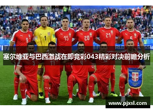 塞尔维亚与巴西激战在即竞彩043精彩对决前瞻分析